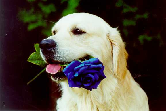 45f47ebdba_25825072_o2