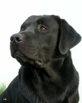 0cc1ad3e18_25825089_o2